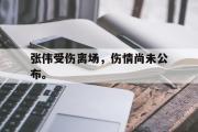 金年会app下载-张伟受伤离场，伤情尚未公布。
